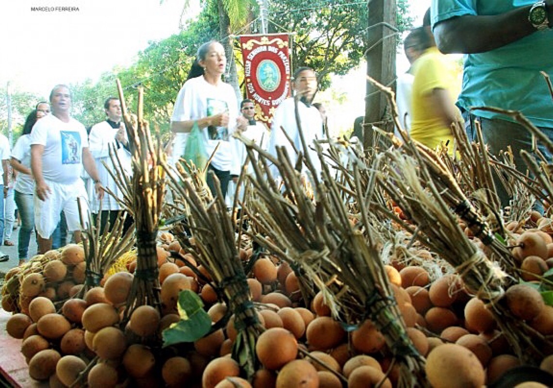 Pitomba: fruta 'dona de festa' é rica em vitamina C e antioxidantes