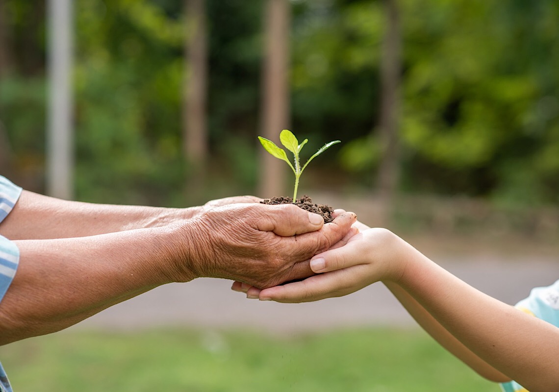 Saúde e meio ambiente: a relação entre a qualidade do ar e a saúde humana