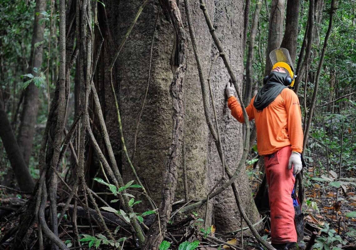 A importância da educação ambiental à preservação do meio ambiente