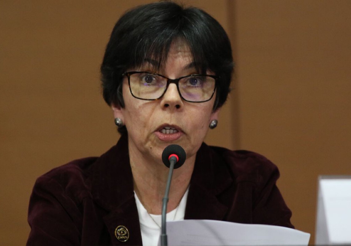 Conter desigualdade e formar professores devem ser prioridade da Capes