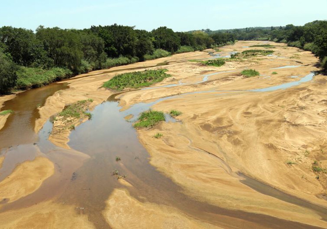 Mundo tem recordes históricos de calor na terra e nos mares