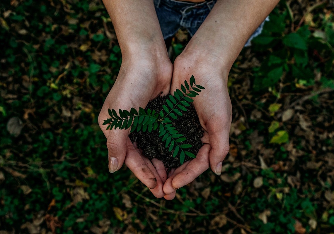 Sustentabilidade ambiental: práticas para preservar o meio ambiente