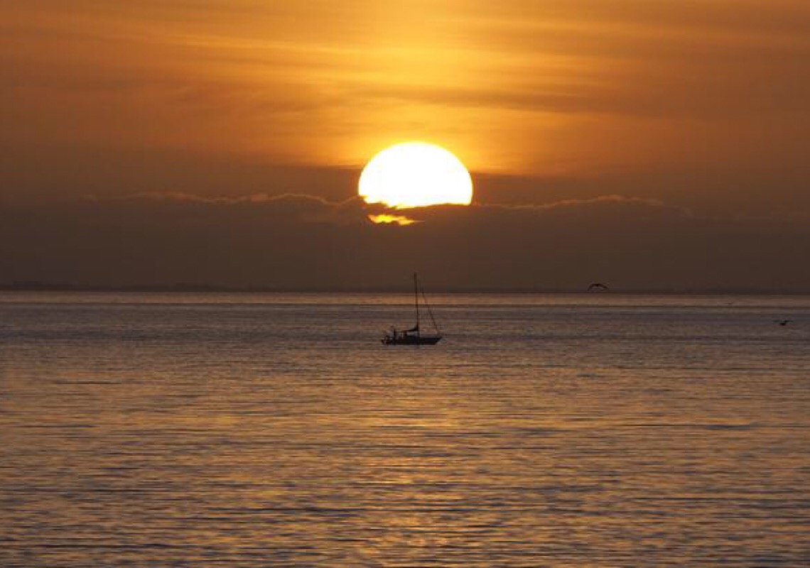 Recorde de temperatura em várias partes do globo gera alertas sobre ameaças à saúde 