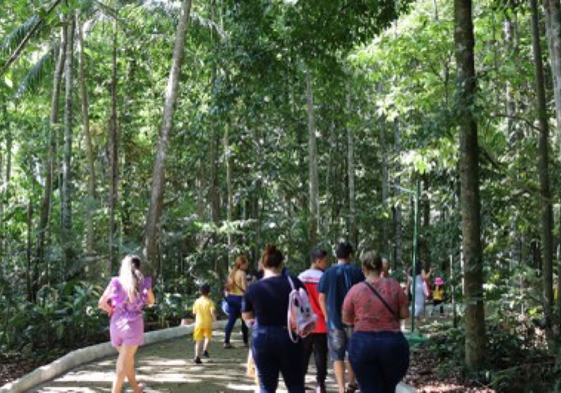 Bosque da Ciência prepara programação especial para Um Dia no Parque