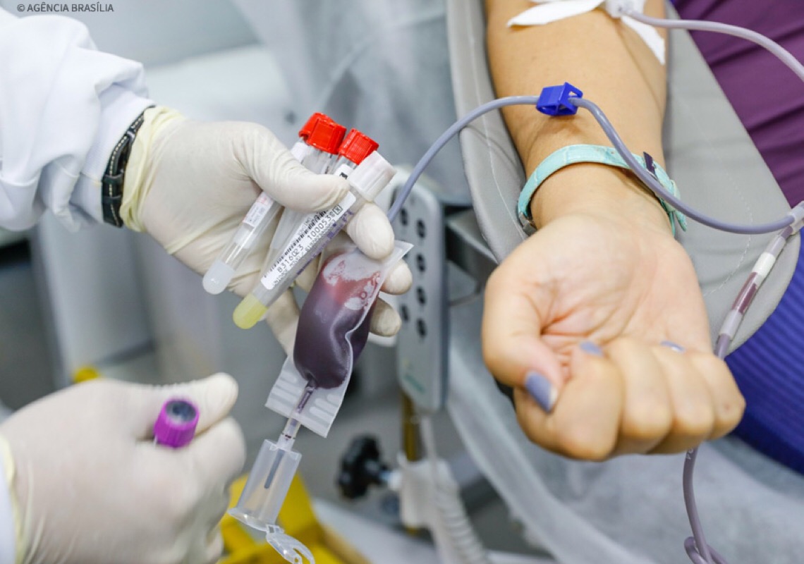 Lei garante atendimento preferencial para doador de sangue