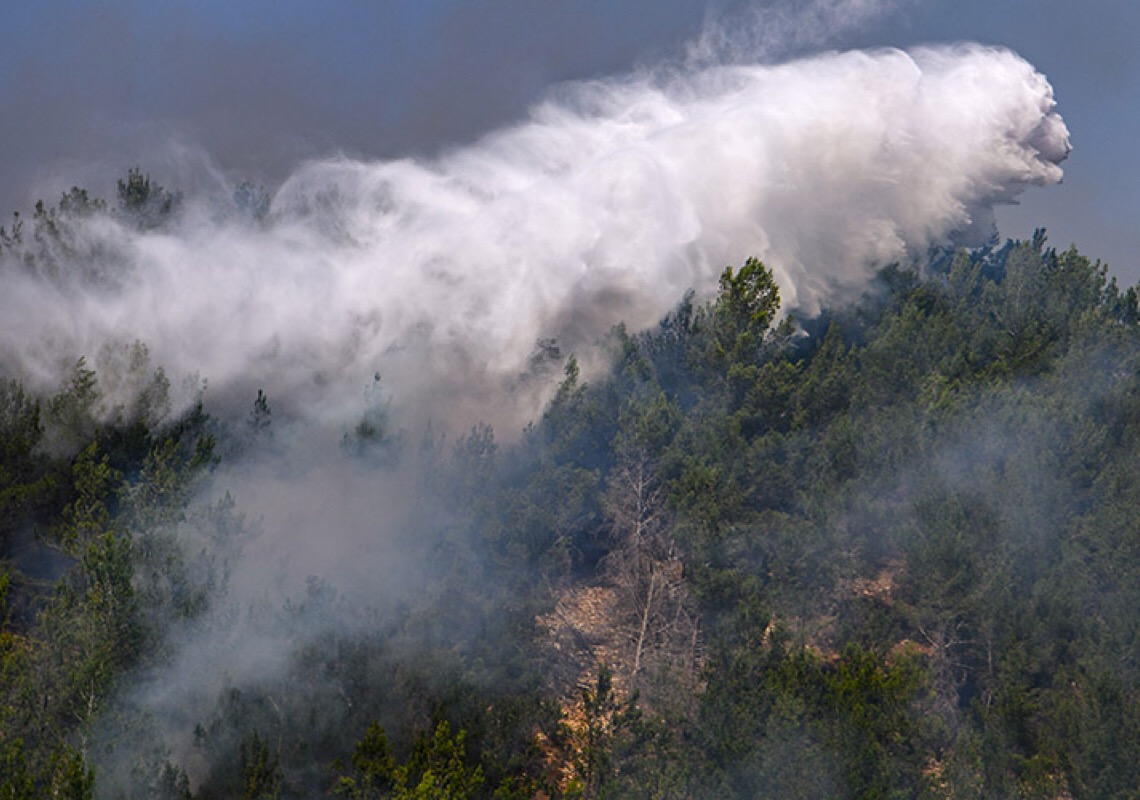 Portugal registra menos incêndios rurais em 2023