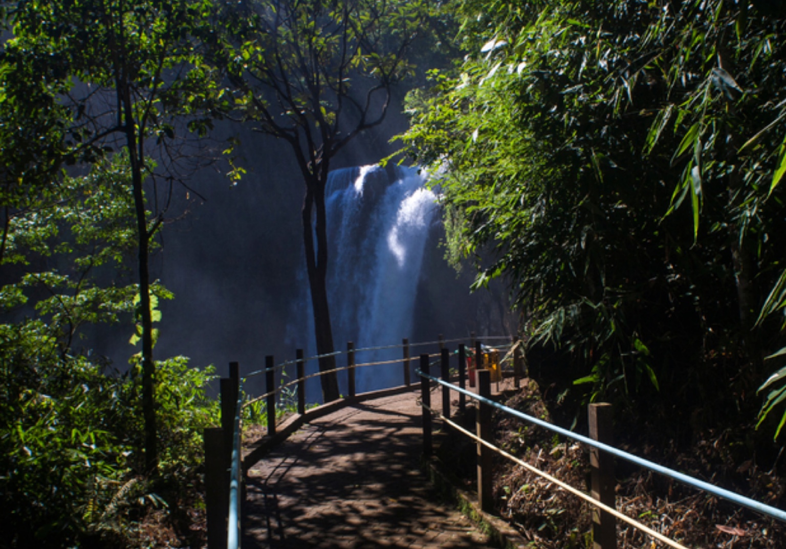 Forbes aponta Brasil como melhor país do mundo para ecoturismo