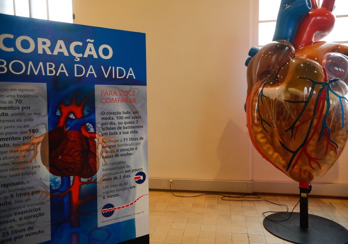 Casos de infarto aumentam 25% no Brasil, em 6 anos