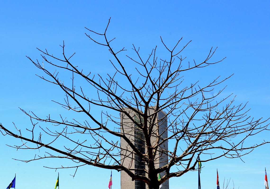 Que calorão! Veja dicas para enfrentar a baixa umidade no DF