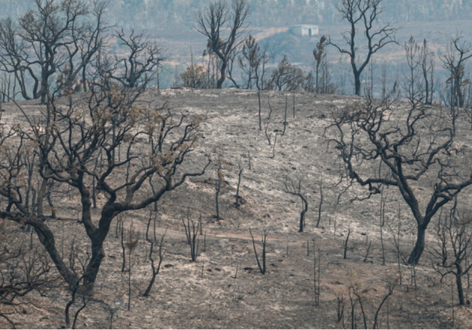 Levantamento dos prejuízos do incêndio de Odemira até 12 de setembro