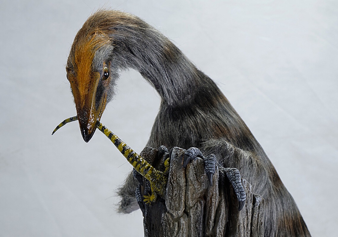 Pesquisadores da UFSM descobrem fóssil que muda paradigma da origem dos dinossauros