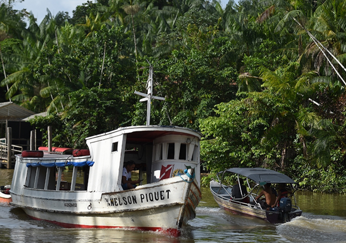 Floresta amazônica será sede final de concurso mundial científico que busca mapear a biodiversidade