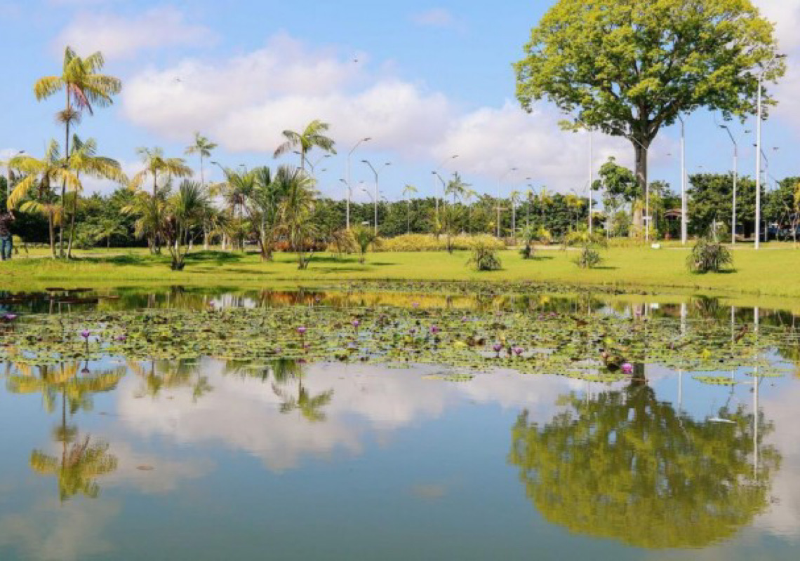 Pará pode ser primeiro Estado a dispor de Política Estadual de Unidades de Conservação