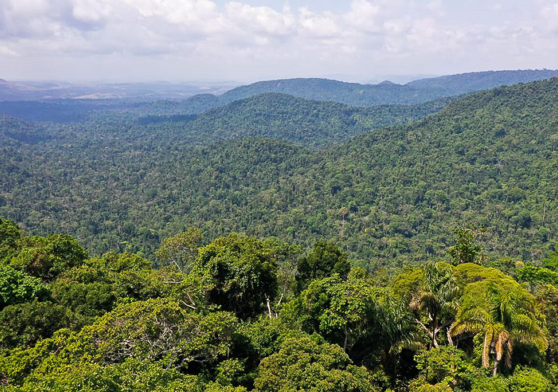 Festivais Dia da Amazônia alertam para defesa dos biomas brasileiros