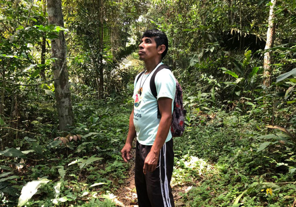 No Dia da Amazônia, organizações alertam sobre preservação do bioma