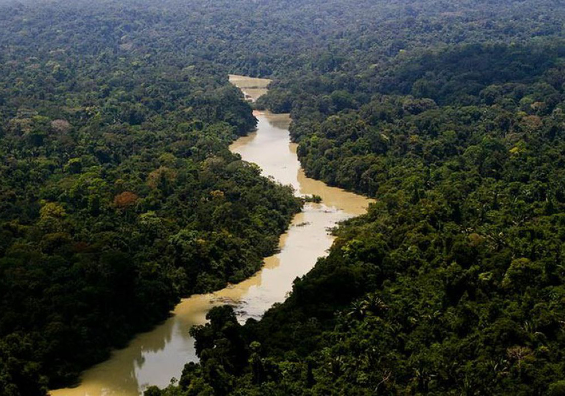 Alertas de desmatamento na Amazônia caem 66% em agosto