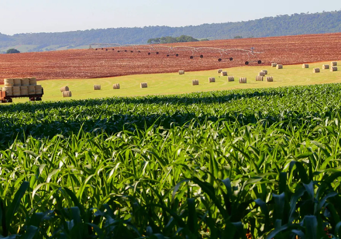 Brasil lança aliança global de biocombustíveis e reforça críticas a 