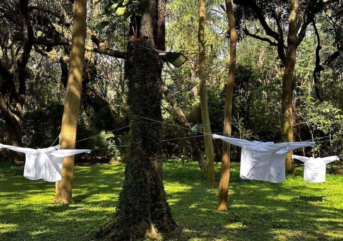Evento inédito resgata conexão cultural para o Parque do Flamengo