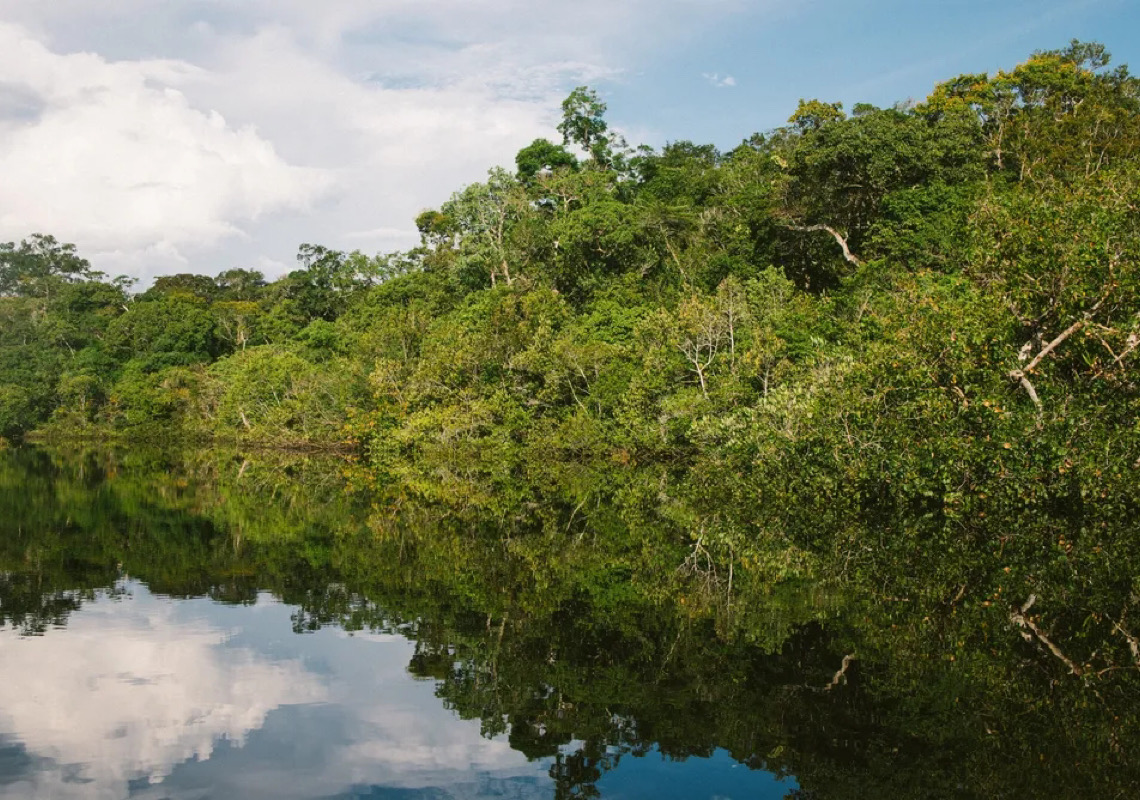 Banco Mundial e Banco do Brasil criarão linha de crédito de US$ 400 milhões para recuperar áreas degradadas da Amazônia