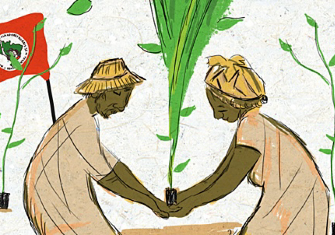 Aplicativo do MST mapeia árvores plantadas e quer plantar 100 milhões de mudas em uma década