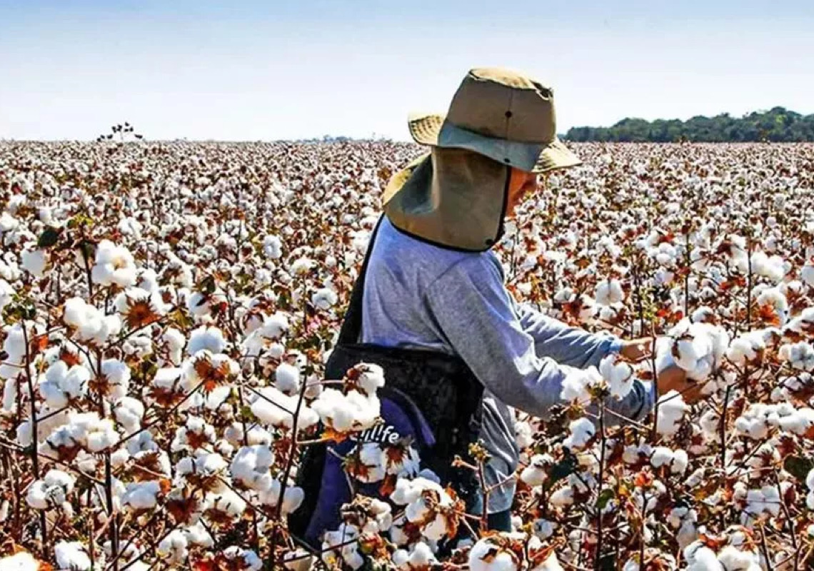 Exportações do agro brasileiro avançam e preocupam EUA