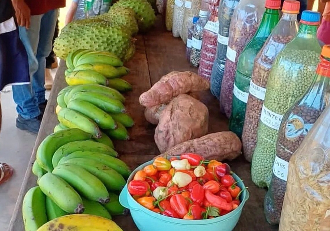 Em feira de orgânicos, indígenas de Roraima rebatem Gilmar Mendes: 'Não morremos de fome'