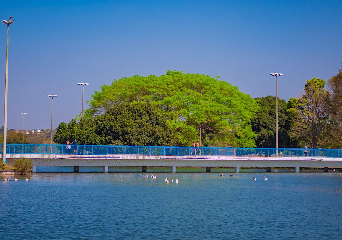 Lago do Parque da Cidade receberá nova operação de limpeza