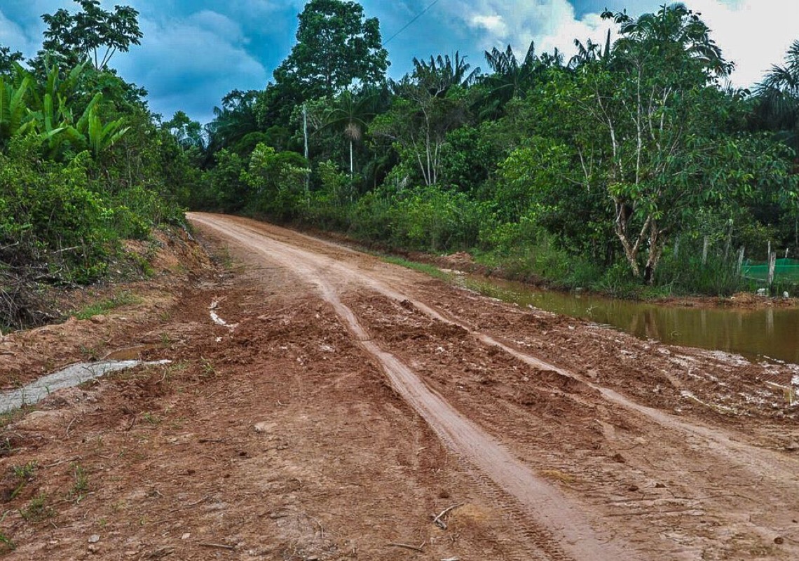 Ibama constata desmatamento por arremesso de agrotóxico em terra indígena invadida por grileiros