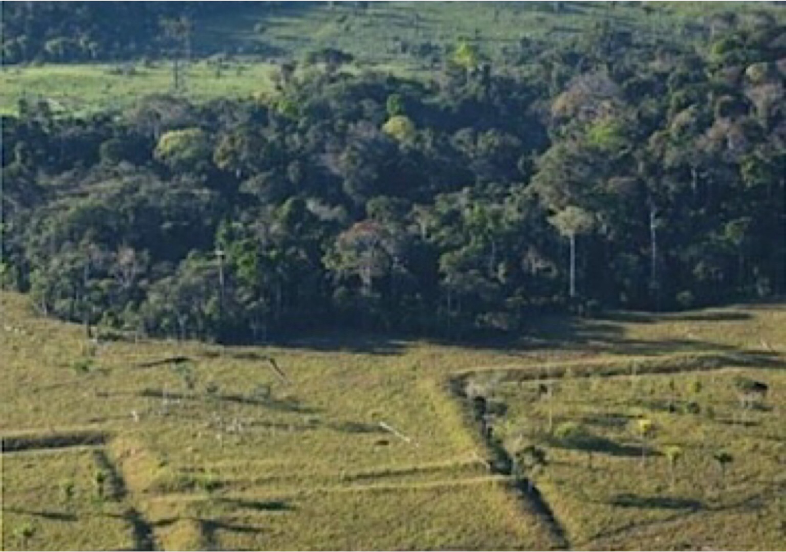 Amazônia possui mais de 10 mil monumentos desconhecidos, estima estudo