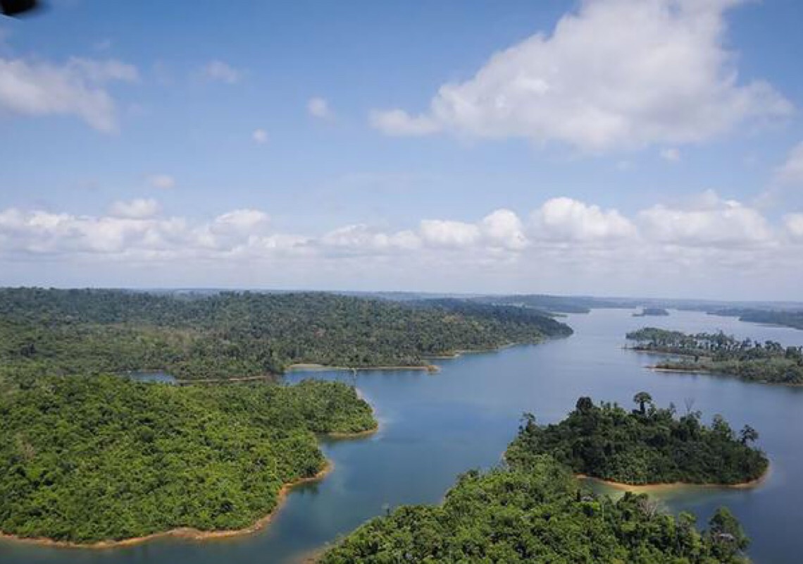 FAO alerta para ameaças na Amazônia e destaca bioeconomia sustentável 