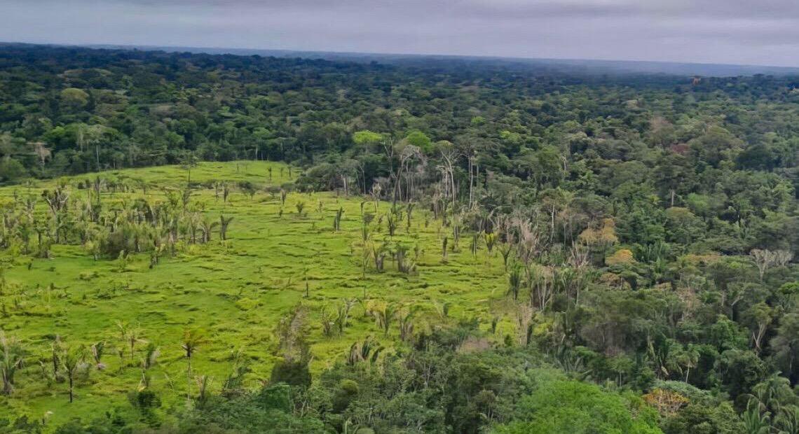 Entenda o que é e para que serve o mercado de carbono