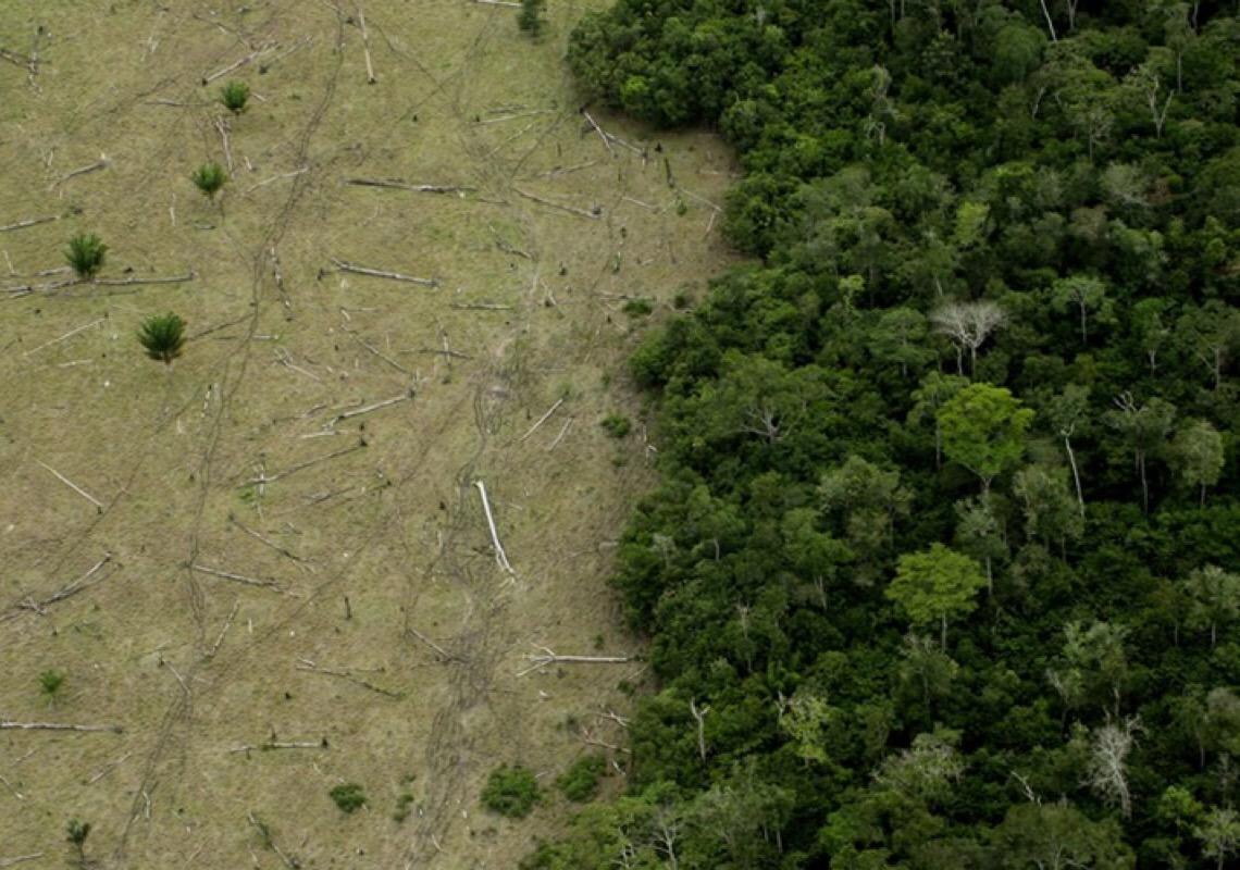 Cadeia alimentar no Brasil foi responsável por 73,7% das emissões de carbono em 2021