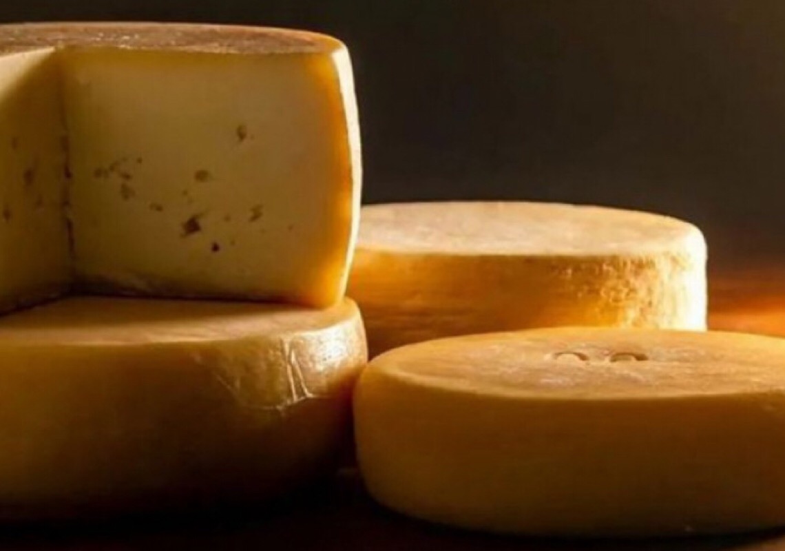 Queijo de SC é o melhor da América Latina no World Cheese Awards 2023