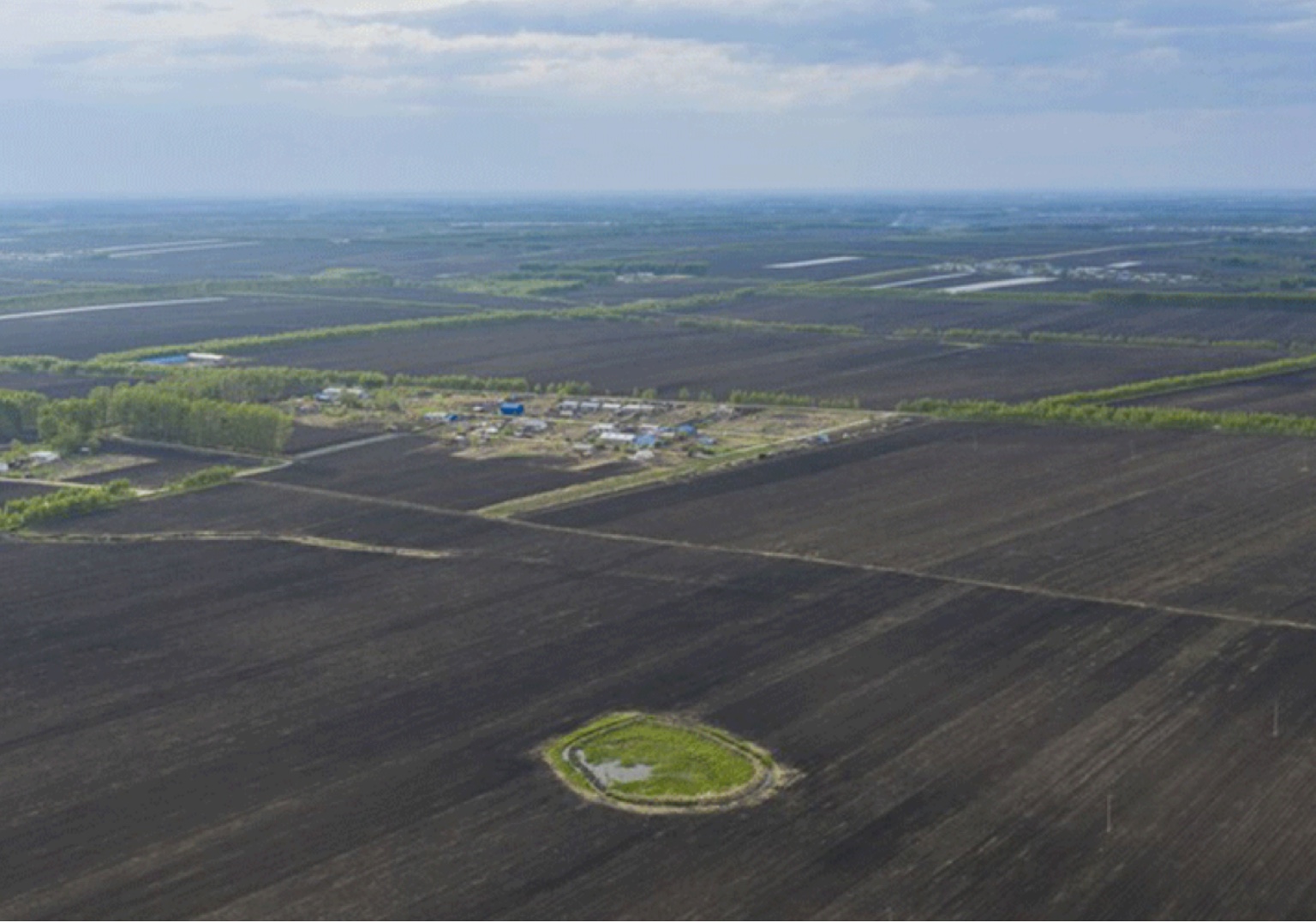 Pesquisadores chineses publicam mapa de carbono orgânico para regiões globais de solo preto