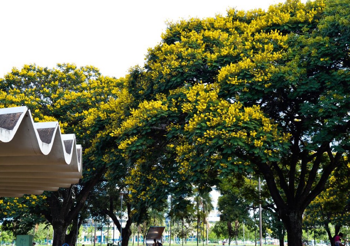 13º caiu? Veja as melhores formas de aproveitá-lo
