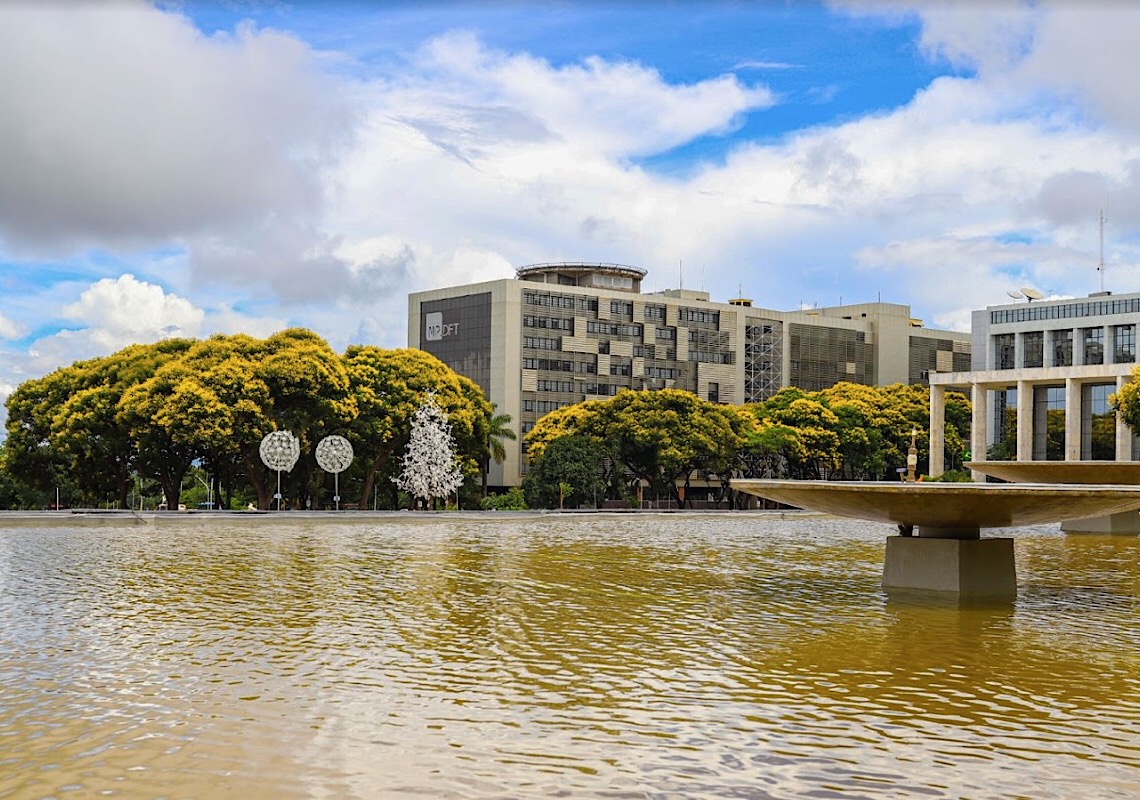 Cambuís colorem de amarelo a capital federal
