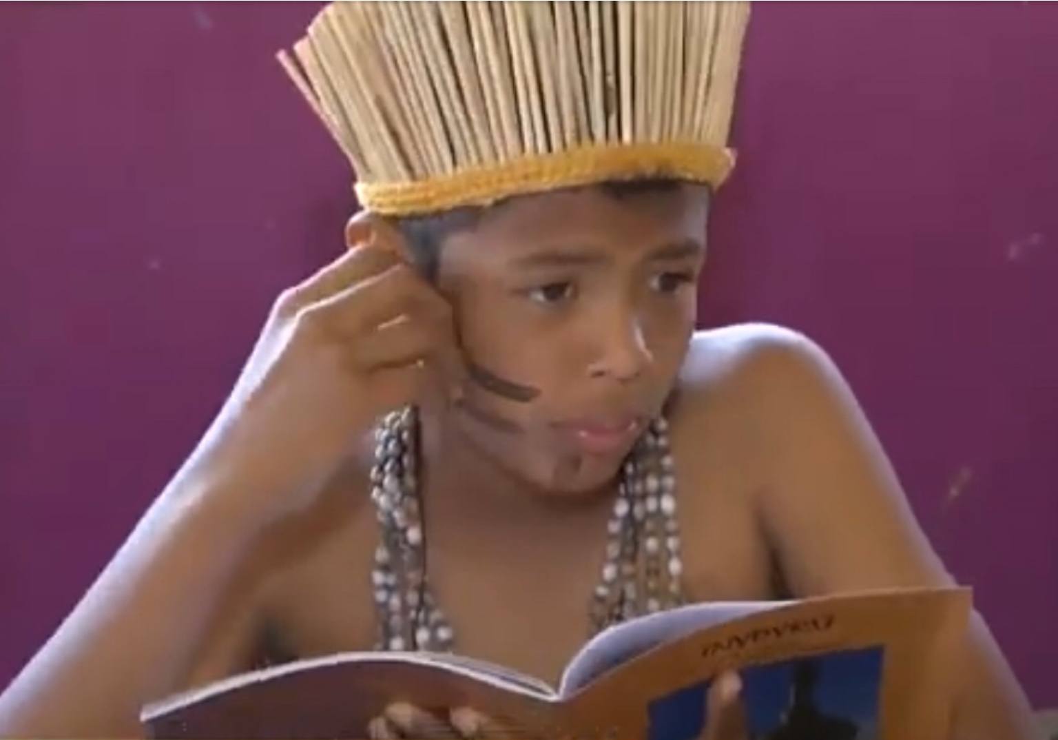Idiomas do tupi-guarani avançaram pela América do Sul em escala épica