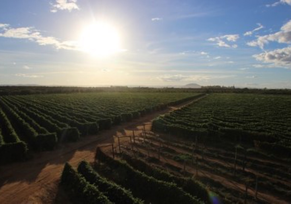 Acordo entre Codevasf e Incra beneficia produtores rurais com regularização fundiária em MG