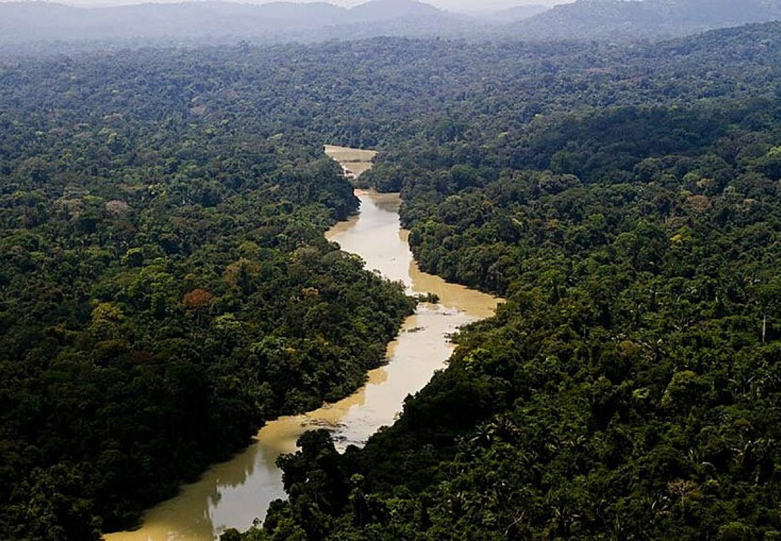 A Amazônia e os direitos: humanos e da natureza