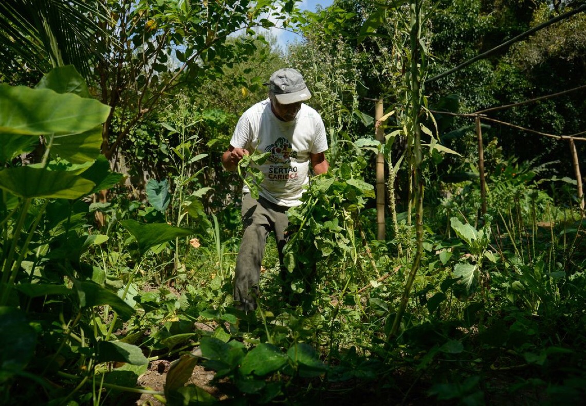 Quilombo no Rio integra o Programa de Aquisição de Alimentos 