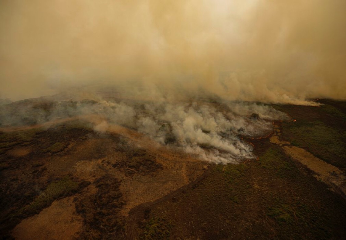 Pesquisa mede emissão de óxido nitroso na Amazônia e no Pantanal