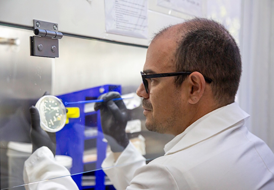 UnB participa de programa de proteção planetária da Nasa e identifica fungos resistentes a condições adversas