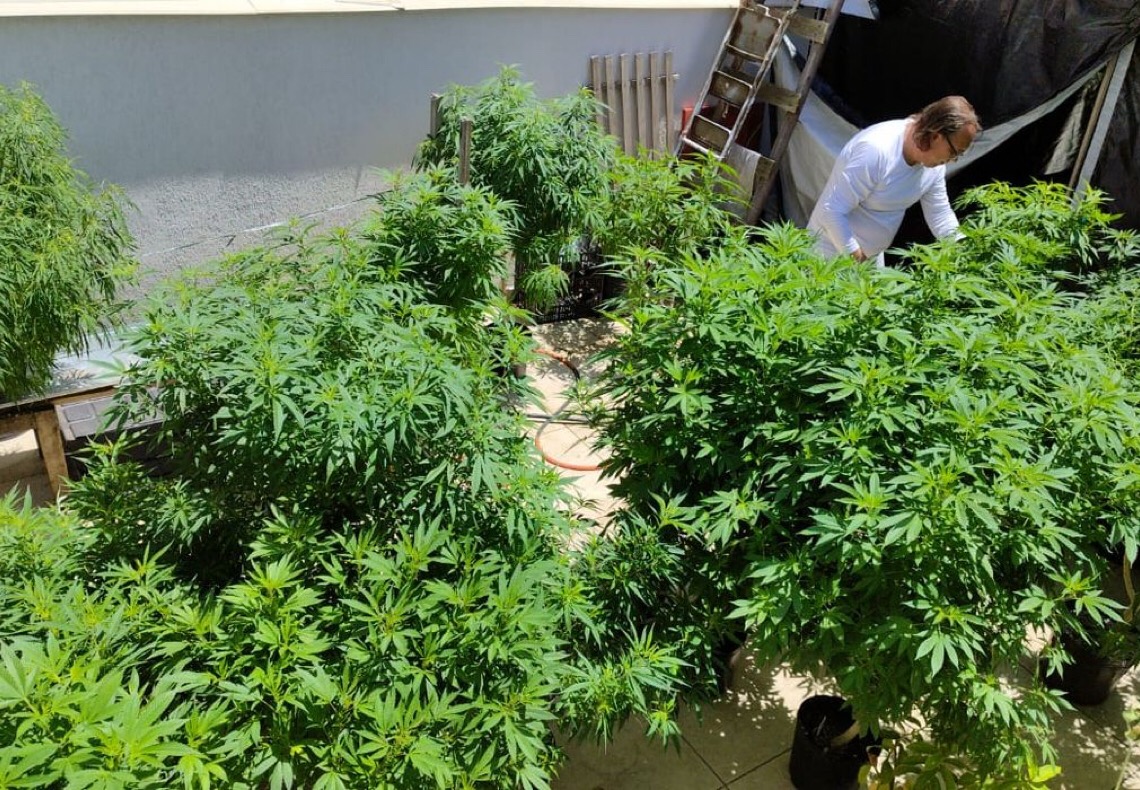 Juiz autoriza farmácia de manipulação a fabricar produtos de cannabis