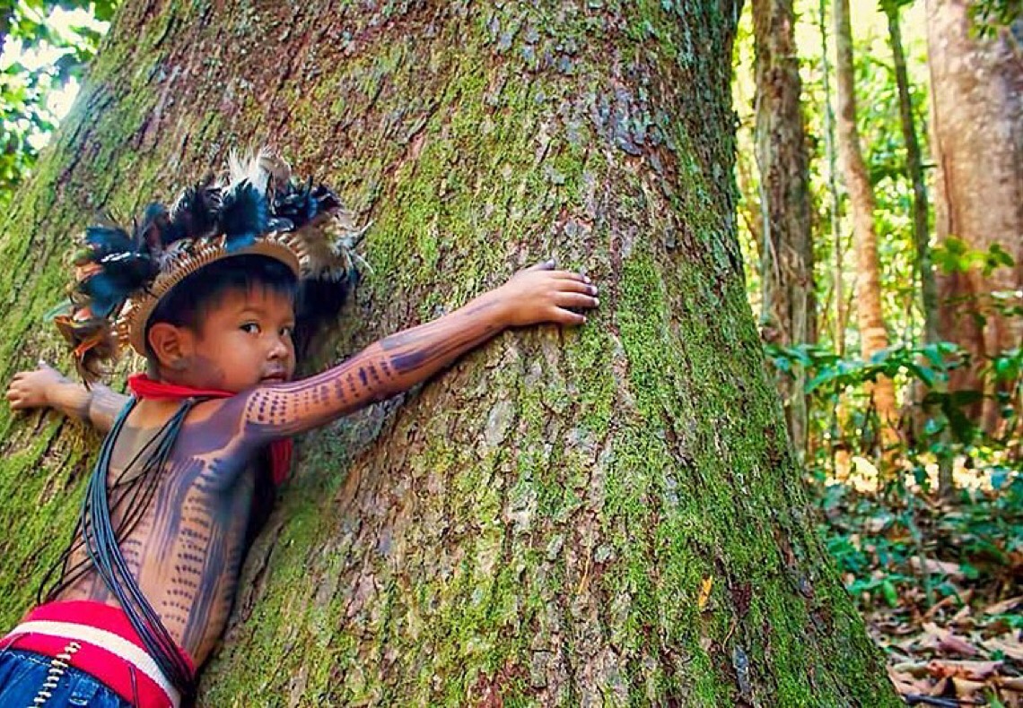 Só nos resta a esperança: uma árvore que se dobra mas não se quebra