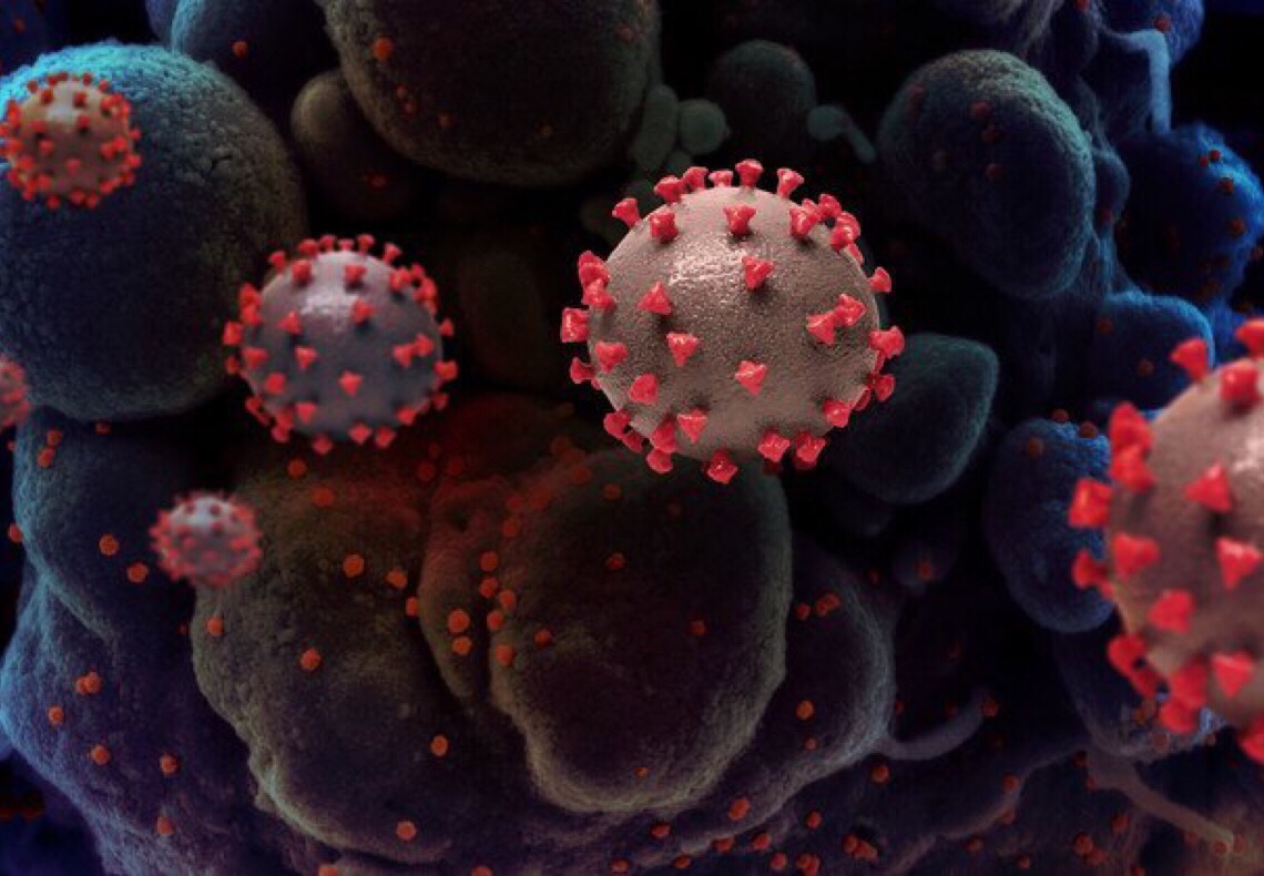 Infecções por Covid-19 aumentam 52% em um mês, alerta agência de saúde da ONU