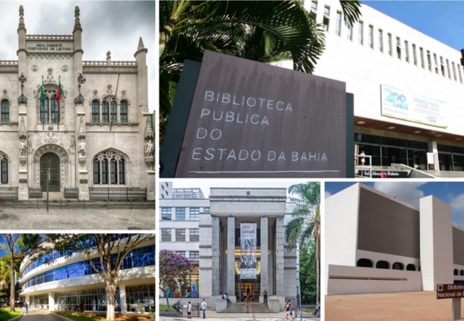 Viaje e descubra as bibliotecas nacionais espalhadas pelo Brasil