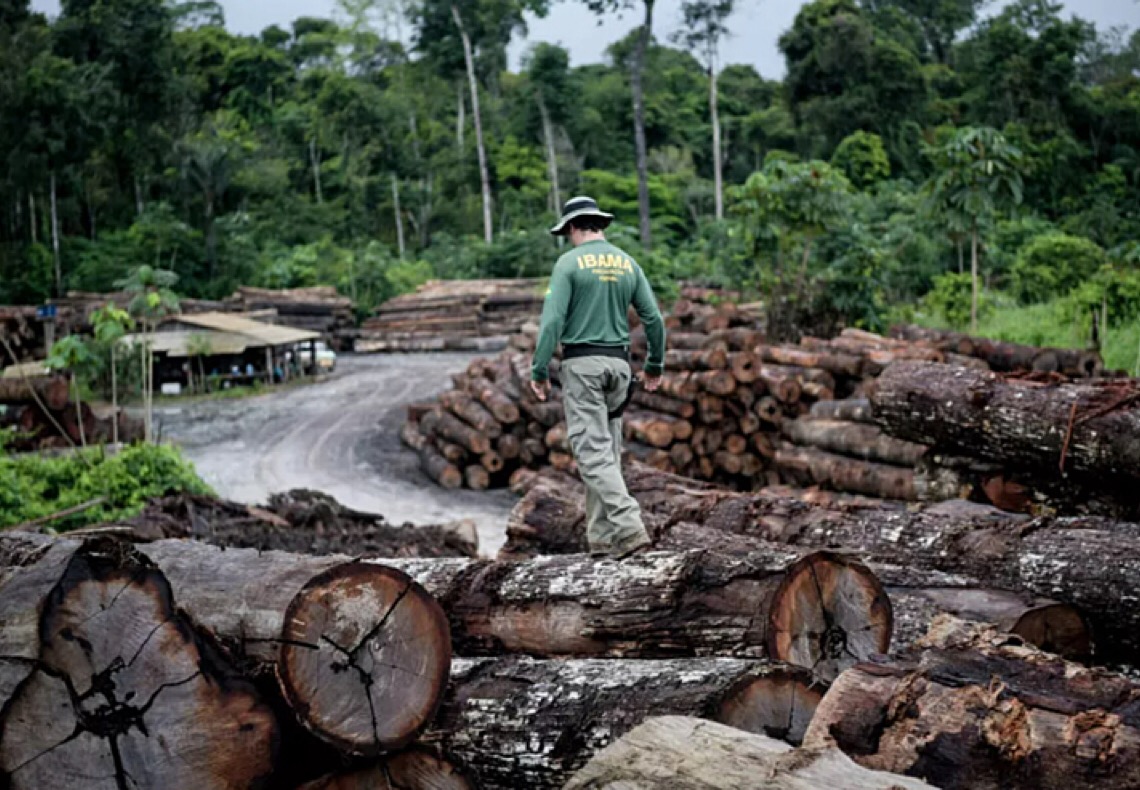 Por que servidores ambientais paralisaram as operações e qual é o impacto no desmatamento da Amazônia 