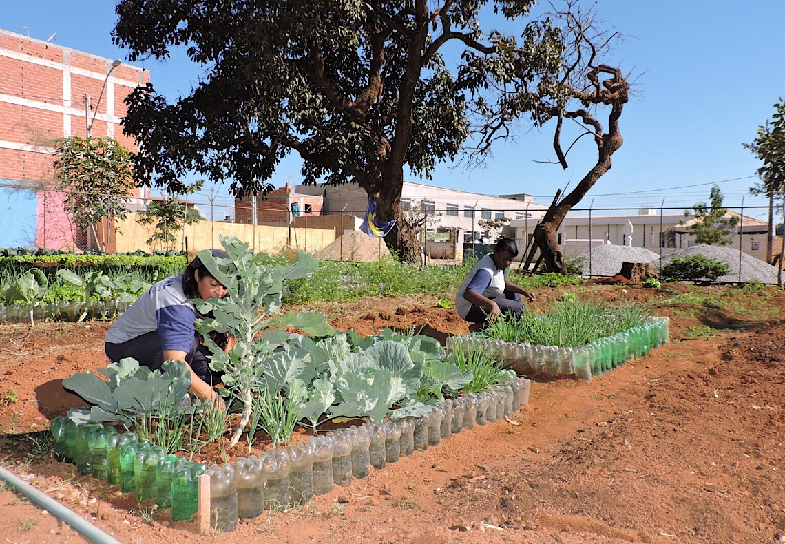 Programa de agricultura urbana contribui para a segurança alimentar