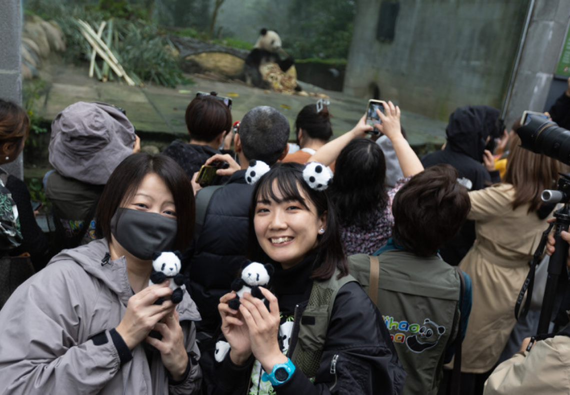 Mais de 50 pandas gigantes “residindo no exterior” atraíram fãs em todo o mundo