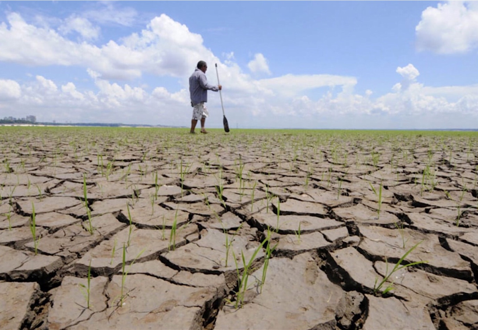 Mudança climática aumentou em 30 vezes chance de seca extrema na amazônia em 2023